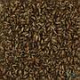 Nutrinsect grilli Micro Grilli 3g