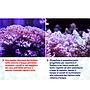 Maxspect Nano Tech Phosphree Antifosfati 500ml