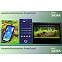 Askoll Fluval Siena 270 Combo Acquario con Supporto 90x55x55h cm