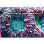 Blau Aquaristic Cubic Super Reef 92 Nero Acquario Marino con Supporto 276 Litri