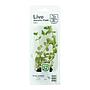 Tropica Single Package Rotala rotundifolia
