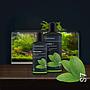 Dennerle Plant Sytem S7 Vitamine per Piante e Pesci 250ml