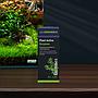 Dennerle Plant Active Enzymes Integratore di Enzimi per Piante 50g