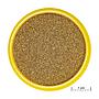 Jbl Pronovo Neon Grano XXS Granulare con Insetti e Prebiotici 20ml 18gr