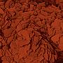 Tropical Astacolor scaglie 100ml 20gr