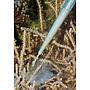 Pipetta alimentazione coralli 35cm 1pz