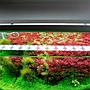 Chihiros B45 Plafoniera Led RGB con Controller per vasche 45-65cm 28,90W