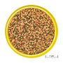 Jbl ProNovo Bel Grano S Granulare con Aglio e Prebiotici 250ml 140gr