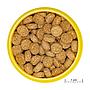 Jbl ProNovo Crabs Wafer M con Wood Fibre e Prebiotici 100ml 48gr