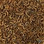 Blu Bios Tartarù Giga per Tartarughe d'acqua 320gr