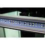Askoll Opera 110 Acquario completo 110 litri Steel 60x40x50h cm