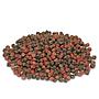 Prodac Coldwater granules mangime completo per pesci rossi 250ml 100gr