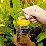Jbl ProNovo Color Grano con Shrimps e Prebiotici 100ml 45gr