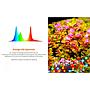 Twinstar S Line IV 450SA Lampada a Led Aquascaping 41W 255mm