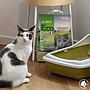 Croci Eco Clean Lettiera Vegetale per Gatti 20L
