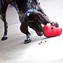 Kong Wobbler Gioco per Cani sopra a 12Kg
