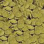 Sera Pleco Chips Nature Mangime per Loricaridi 100ml 95g