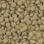 Sera Viformo Pleco Tabs 50ml 33gr
