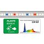 Newa Led Slim Plant 130 Lampada estensibile per acquari da 188-218mm 6200K° 1.5W