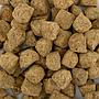 Planctontech Artemia Cubes Artemia liofilizzata 1000ml 80gr