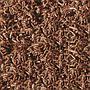 Sera Bloodworms FD Snack Larve Rosse di Zanzara 250ml 24g