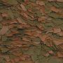 Tropical Cichlid Color Flakes 250ml 50gr