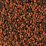 Tropical Bionautic Chips Mangine completo affondante per pesci marini 250ml 130g