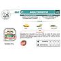 Morando Super Pet Food Adult Mini Daily Care Patè Salmone 300g