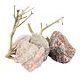 Zolux Kit Rosy Stone e Wood 500g