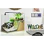Zolux Maya Acquario con Filtro e Luce Legno/grigio 20Lt 41x24x28h cm