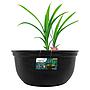Superfish Medaka Bowl 420 Ciotola Giapponese 14 litri 42x20h cm