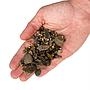 Wio Brown Chip Accent Pietre decorative 750g