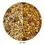 Wio Yellow Chip Accent Giaia decorativa 750g