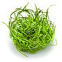 Tropica 1•2•Grow! Pianta Sagittaria Subulata "Needle Leaf" in Vitro Cup
