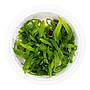 Tropica 1•2•Grow! Pianta Microsorum pteropus 'Narrow' in Vitro Cup