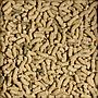 Sera Turtle Adult Raffy P Pellets Alimento completo per Tartarughe d'acqua 10l 2,35Kg