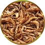 Shg Gamberetti Mangime completo per Tartarughe d'acqua 300g