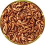 Shg Gammarus Mangime completo per Tartarughe d'acqua 250g