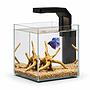 Askoll Betta World Acquario per Betta 20x20x20h cm 8 litri con Led