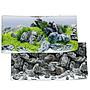 Juwel Sfondo Poster 4 esterno double face S Aquascaping piante/rocce 60x30cm