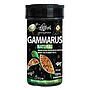 Haquoss Gammarus Natural Gamberetti per Tartarughe 1000ml 100gr