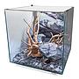 Newa Ego Full EF 50W Acquario Bianco completo 45 litri 35,8x36,5x39,5h cm