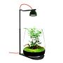 Micmol Drop Bio Grow Suit Black Lampada e Vasca