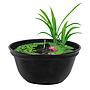 Superfish Medaka Bowl 420 Ciotola Giapponese 16 litri 42x20h cm