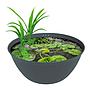 Superfish Medaka Bowl 600 Mini Pond