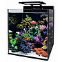 Blue Marine Reef 60 Acquario marino completo 60 Litri circa 350x451x405h mm