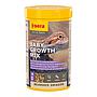 Sera Bearded Dragon Baby Growth Mix Mangime per Draghi barbuti 250ml 65g