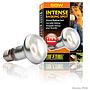 Exoterra Intense Basking Spot 50W Luce concentrata ad alta intensità