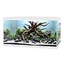 Ciano Aquarium Acquario Aqua 60 Pro Bianco 58 litri 60x30x32h cm